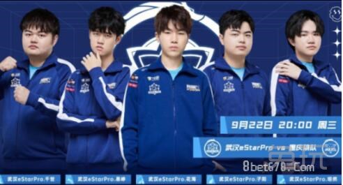 海牙CEO