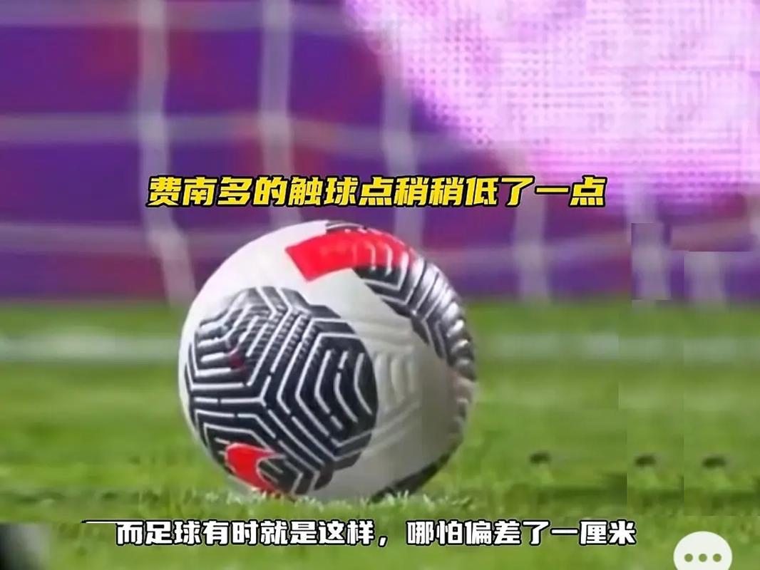 展示出了不