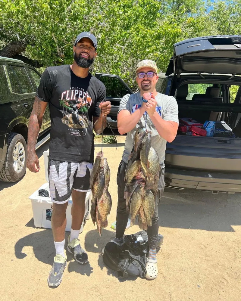 非单纯沉溺 非单纯沉溺